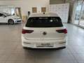 Volkswagen Golf VIII Life 1.5 TSI *STHZ,PANORAMA,ACC* Weiß - thumbnail 7