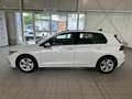 Volkswagen Golf VIII Life 1.5 TSI *STHZ,PANORAMA,ACC* Weiß - thumbnail 5