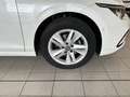 Volkswagen Golf VIII Life 1.5 TSI *STHZ,PANORAMA,ACC* Weiß - thumbnail 9