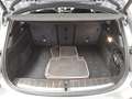 BMW X2 sDrive18i Advantage Navi LED HiFi RFK Grau - thumbnail 11