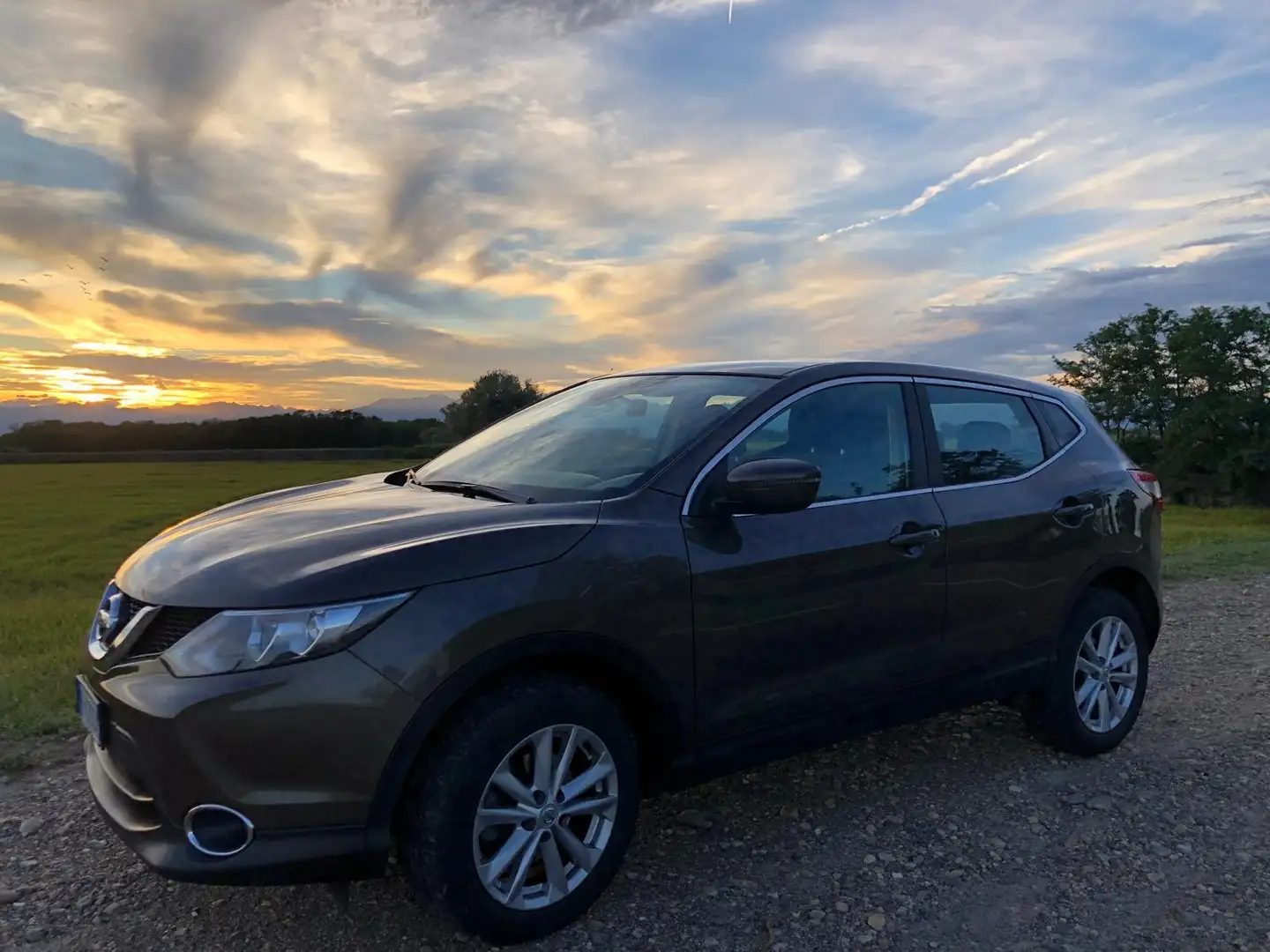 Nissan Qashqai 1.6 dci Business 2wd 130cv E6 - 2