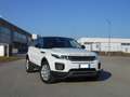 Land Rover Range Rover Evoque Evoque 5p 2.2 td4 150cv Weiß - thumbnail 2