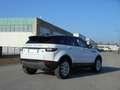 Land Rover Range Rover Evoque Evoque 5p 2.2 td4 150cv Weiß - thumbnail 4