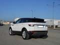 Land Rover Range Rover Evoque Evoque 5p 2.2 td4 150cv Weiß - thumbnail 3