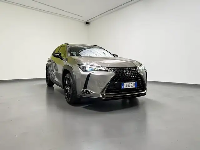 Lexus UX 250h Midnight 4wd cvt