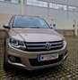 Volkswagen Tiguan 2.0 TDI DPF 4Motion DSG Track & Field - thumbnail 1