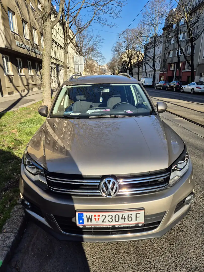 Volkswagen Tiguan 2.0 TDI DPF 4Motion DSG Track & Field - 2