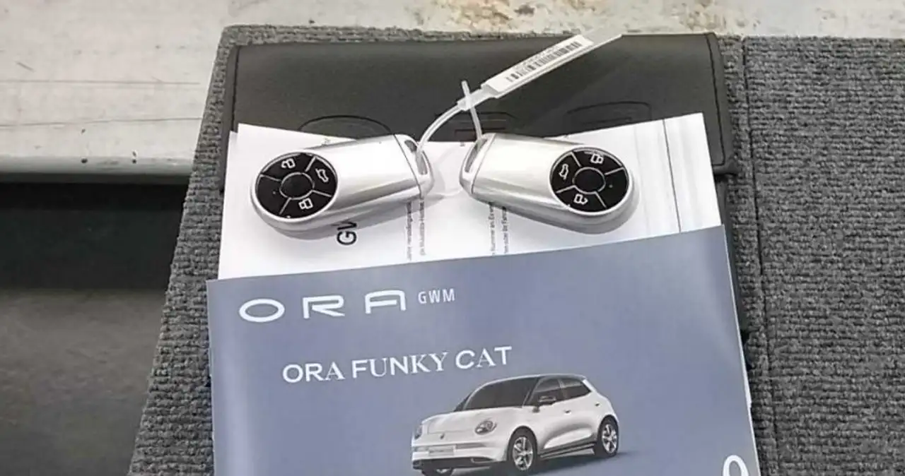 Ora Funky Cat Funky Cat 300 Pro 300 48 kWh Allwetter LED PDC 17