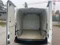 Renault Master Master dCi 110 L2H2 Weiß - thumbnail 12