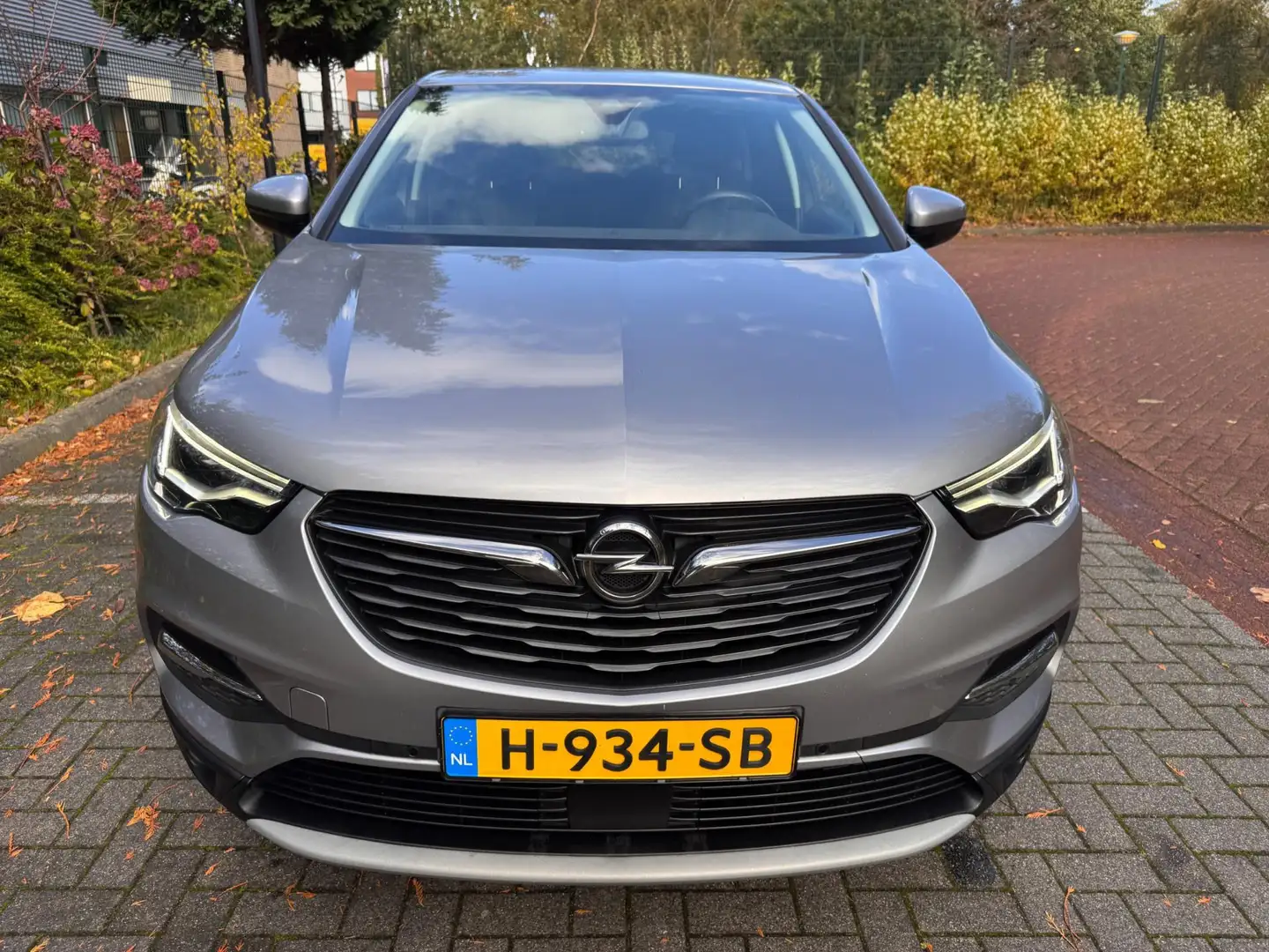 Opel Grandland X 1.2 Turbo Business Executive / Keyless / camera / Gris - 2