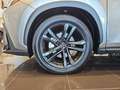 Lexus NX 350h Executive 2WD Gris - thumbnail 21