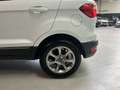 Ford EcoSport (2) 1.0 EcoBoost 125ch TITANIUM Blanc - thumbnail 34