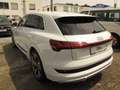 Audi e-tron 55 S line Leder Navi PDC SHZ Kamera B&O Weiß - thumbnail 5