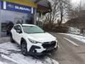 Subaru Crosstrek Style Weiß - thumbnail 7
