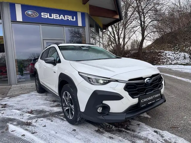 Subaru Crosstrek Style