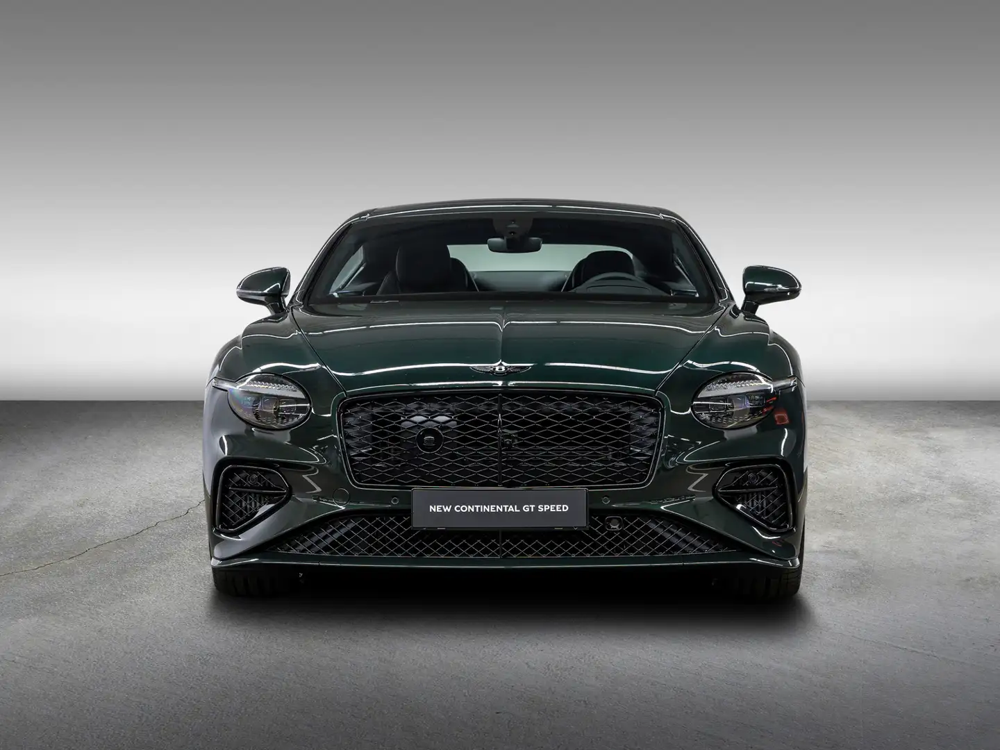 Bentley Continental GT Speed V8 |Touring Spec| NAIM|Black Line Grün - 2