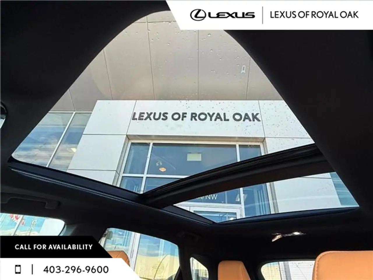 Lexus RX fotografie Lexus RX