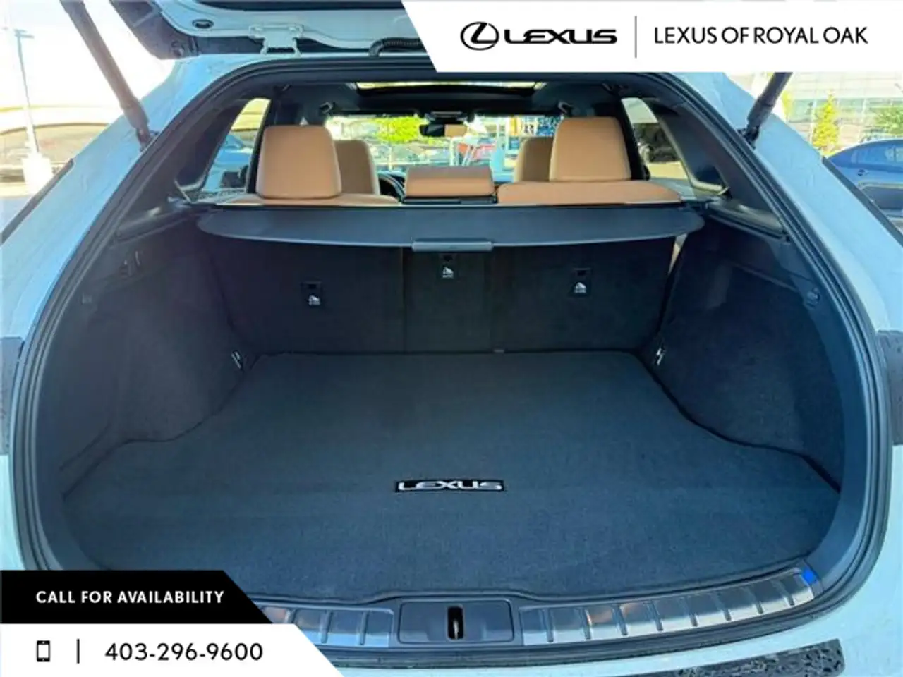 Lexus RX fotografie Lexus RX