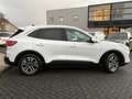 Ford Kuga 2.5 PHEV Titanium X | Plug in hybride | Automaat | Weiß - thumbnail 13