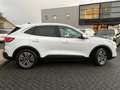 Ford Kuga 2.5 PHEV Titanium X | Plug in hybride | Automaat | Weiß - thumbnail 14