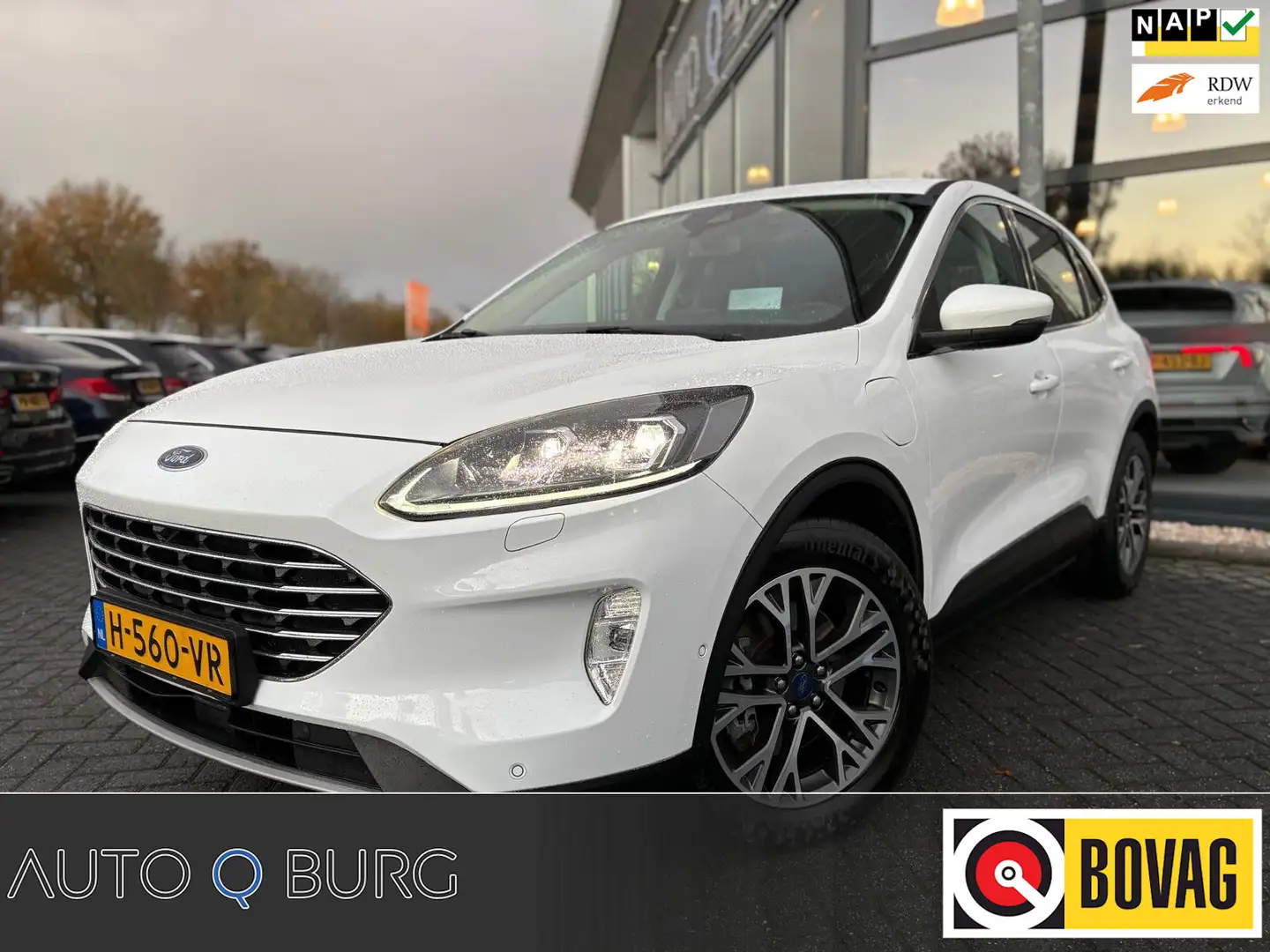 Ford Kuga 2.5 PHEV Titanium X | Plug in hybride | Automaat | Weiß - 1