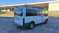 Ford Transit FT 240S Plus Mixto 140 Wit - thumbnail 7