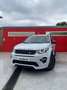 Land Rover Discovery Sport 2.0TD4 SE 4x4 Aut. 150 Blanc - thumbnail 7