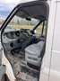 Ford Transit Kasten FT 300 DIESEL 8 Fachb. Tüv 09/25 Blanco - thumbnail 9