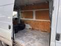 Ford Transit Kasten FT 300 DIESEL 8 Fachb. Tüv 09/25 Blanco - thumbnail 12
