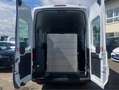 Ford Transit 2.0 TDCi 350 L2 hoch Rollstuhlrampe Weiß - thumbnail 6