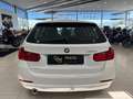 BMW 318 d Touring Business auto Bianco - thumbnail 7