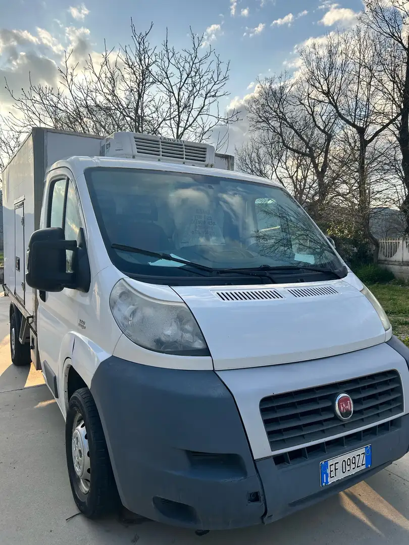 Fiat Ducato Isotermico Bianco - 2