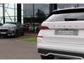 Skoda Kamiq Kamiq 1.0 TSI - 110 - BV DSG7  Ambition Wit - thumbnail 10
