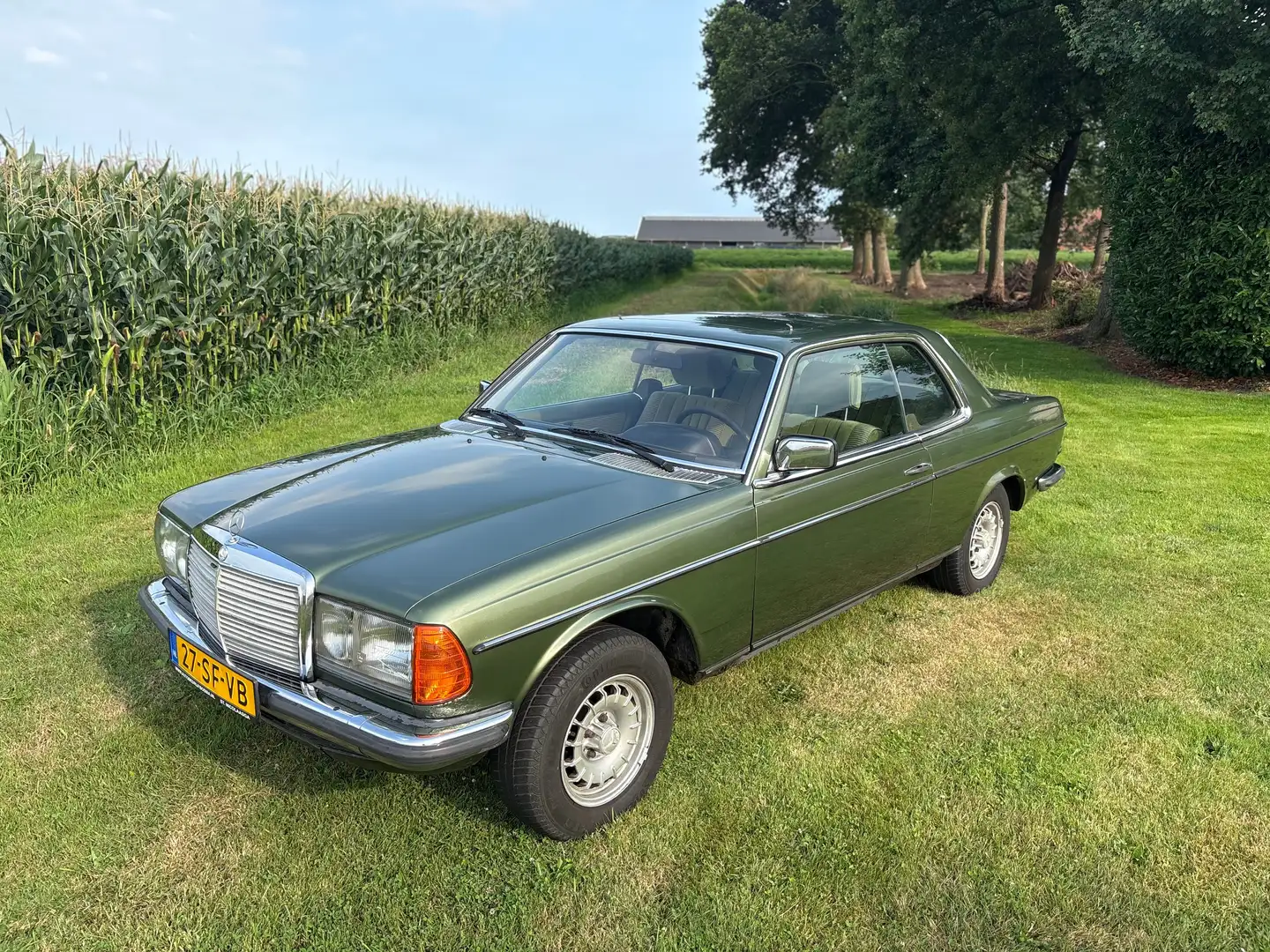 Mercedes-Benz 230 coupé w123 CE 1980 groen oldtimer belastingvrij Groen - 1