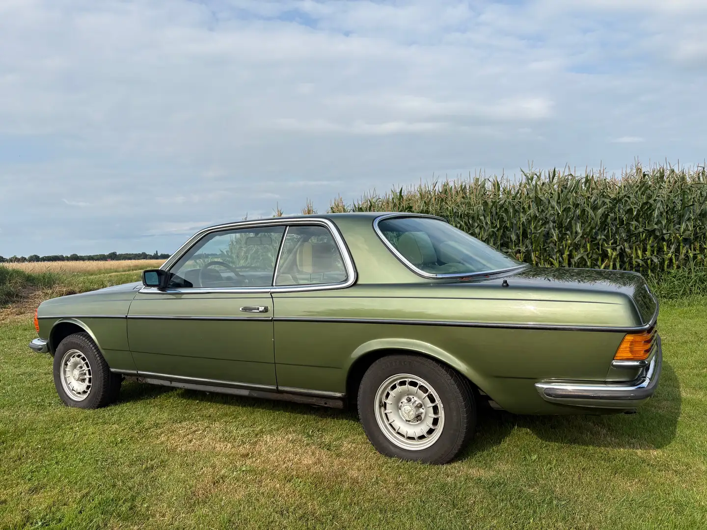 Mercedes-Benz 230 coupé w123 CE 1980 groen oldtimer belastingvrij Groen - 2