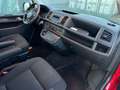 Volkswagen T6 Multivan T6 2.0 TDI DSG Multivan 150PS Trendline 7-Sitz Rouge - thumbnail 8