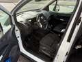 Ford Tourneo Connect Grand Tourneo Connect Trend 1,6 TDCi Trend Weiß - thumbnail 12