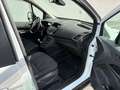 Ford Tourneo Connect Grand Tourneo Connect Trend 1,6 TDCi Trend Weiß - thumbnail 8