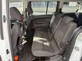 Ford Tourneo Connect Grand Tourneo Connect Trend 1,6 TDCi Trend Weiß - thumbnail 11