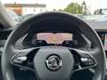 Skoda Octavia Combi 2,0 TDI Style DSG | NP: €45.400 Grau - thumbnail 16