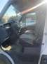 Iveco Daily Bianco - thumbnail 10