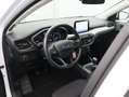 Ford Focus Wagon 1.0 EcoBoost Trend Edition Business/ trekhaa Blanco - thumbnail 28