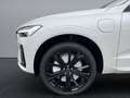 Volvo XC60 Black Edition Ultra, T6 AWD Plug-in Hybrid, Elektrisch/Benzi Weiß - thumbnail 20