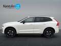 Volvo XC60 Black Edition Ultra, T6 AWD Plug-in Hybrid, Elektrisch/Benzi Weiß - thumbnail 8