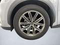 Lexus LBX FWD Elegant Grau - thumbnail 3