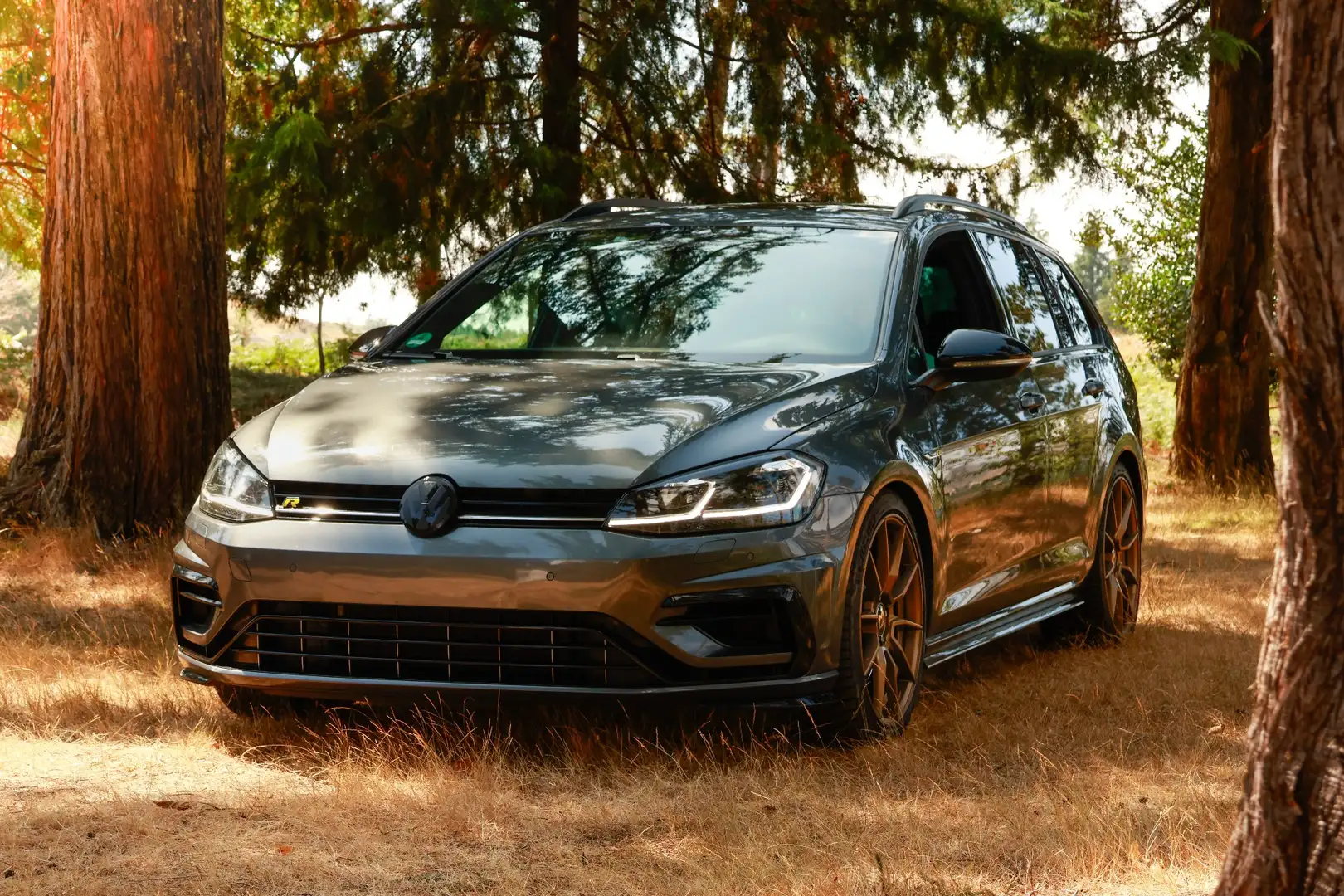 Volkswagen Golf Variant R PERFORMANCE 4Motion DSG Grau - 1