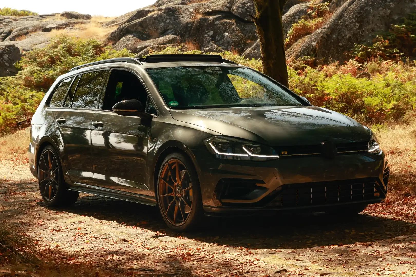 Volkswagen Golf Variant R PERFORMANCE 4Motion DSG Grau - 2