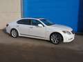 Lexus LS 600 LS600 HL Wit - thumbnail 39