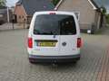 Volkswagen Caddy 1.6 TDI L1H1 Trendline * Rijklaarprijs incl. garan Wit - thumbnail 15