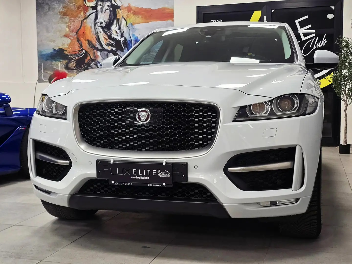 Jaguar F-Pace F-Pace 2.0 i4 R-SPORT AWD 250CV_SERVICE_LED_TETTO! Bianco - 1